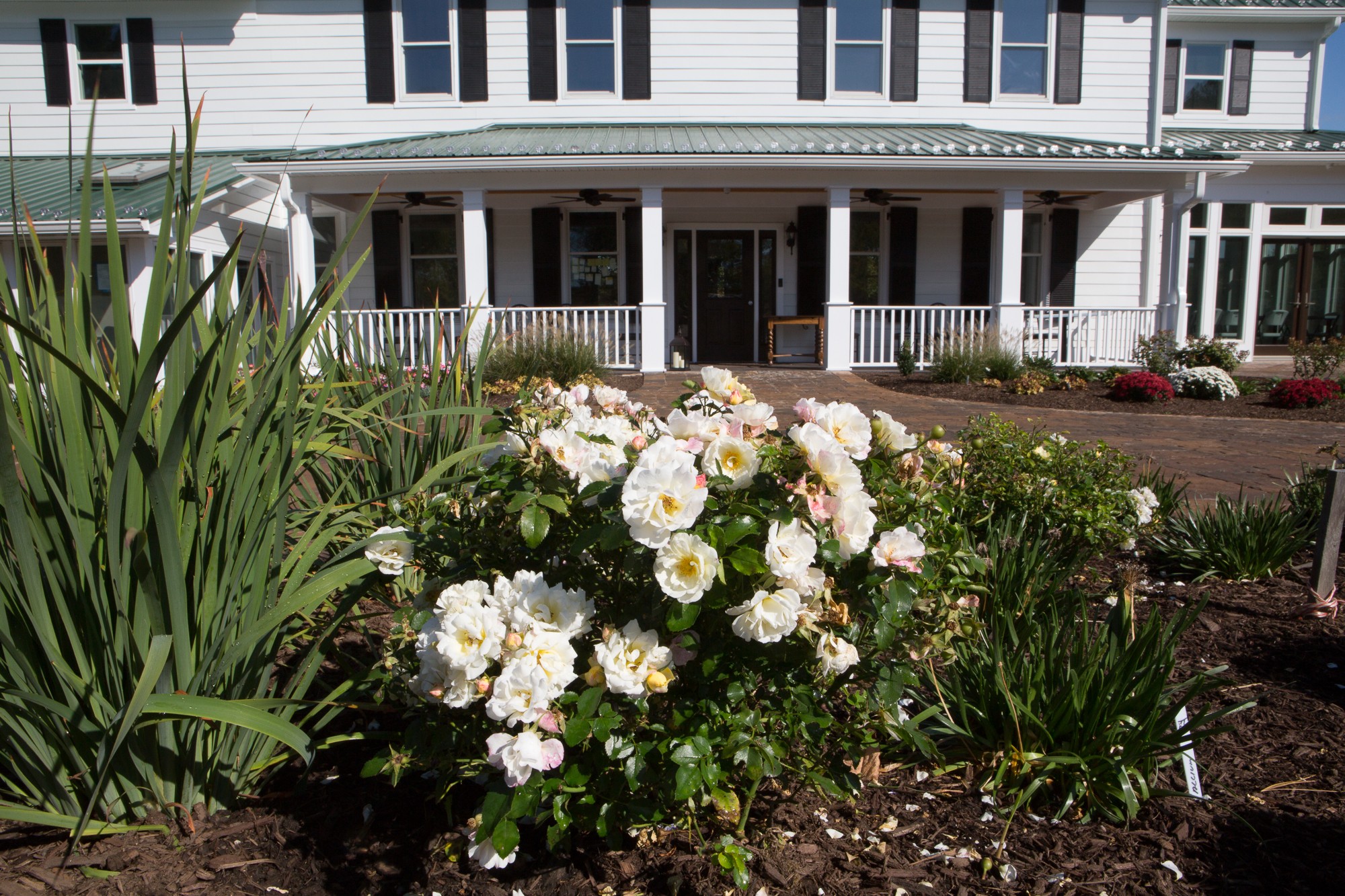 Maryland Maryland Landscaping Frederick Landscaping Frederick, MD