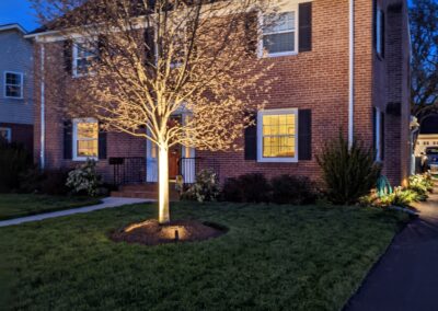 Landscape Lighting Project in Maryland